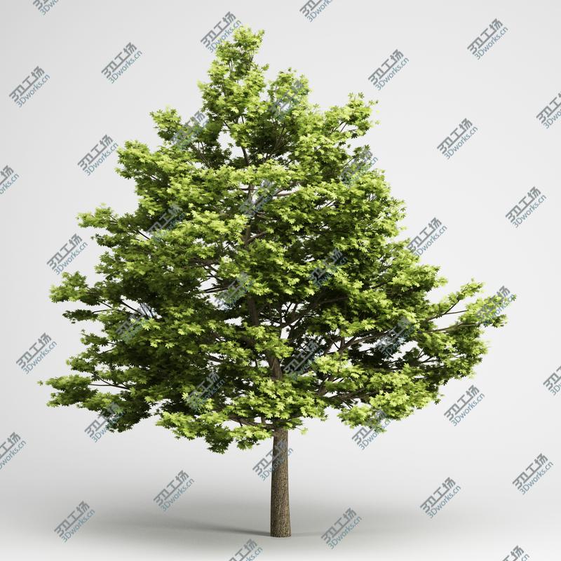 images/goods_img/202104091/CGAxis Models Volume 14 Trees II/2.jpg